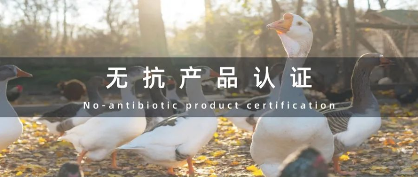 无抗产品认证